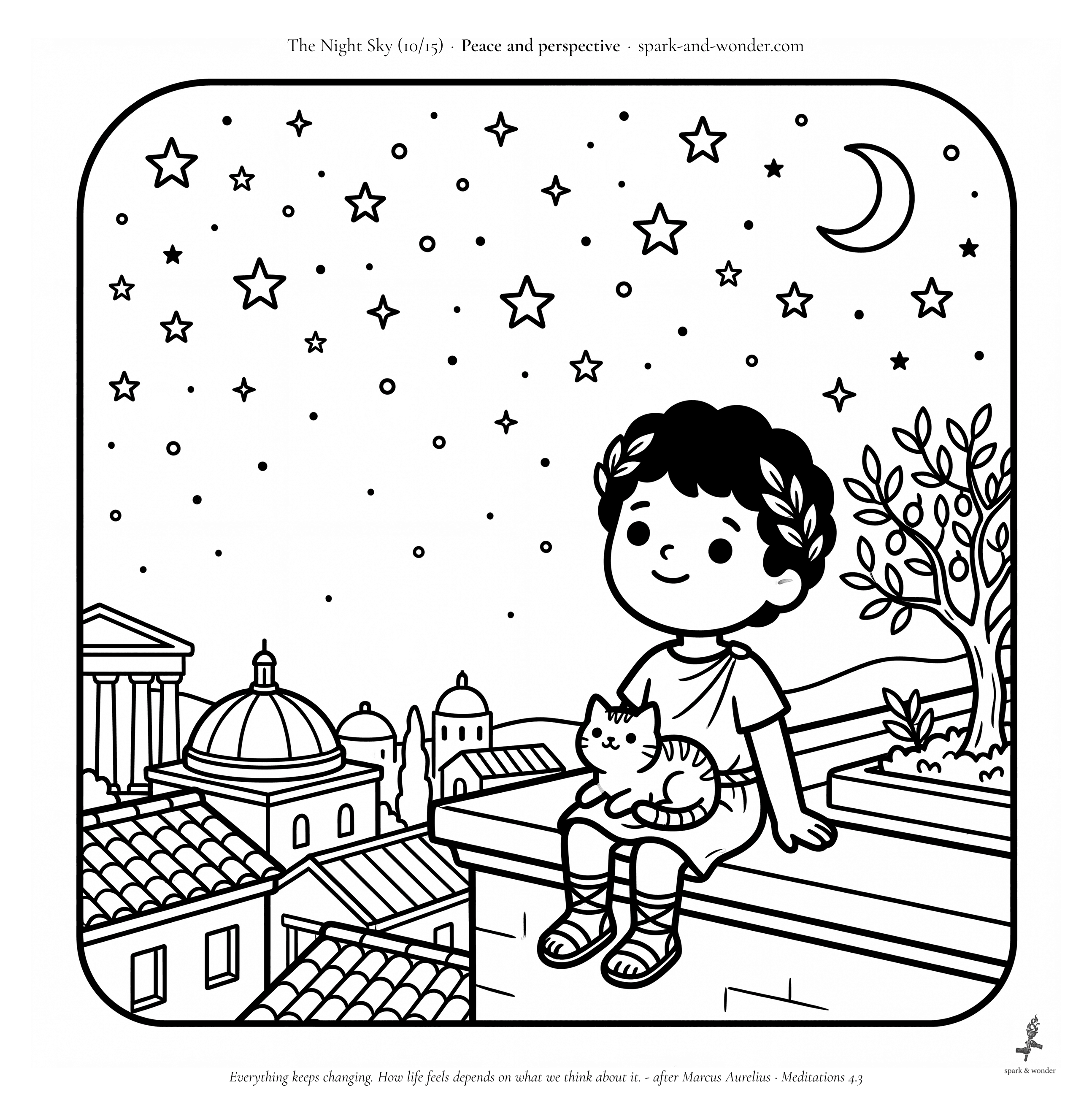 The Night Sky